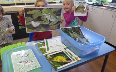 Biodiversity Awareness and Actions In Early Years Settings – City of Melville – Tues 13th Sept 2022