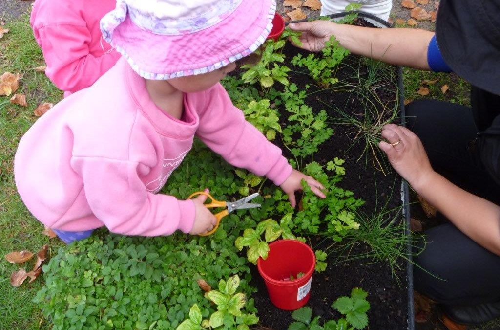 Lets Get Gardening in the Early Years – using our organics to reduce waste – Nov 15th 2023 – Cockburn