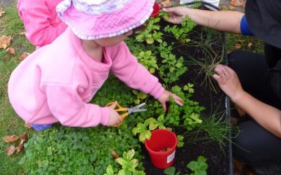 Lets Get Gardening in the Early Years – using our organics to reduce waste – Nov 15th 2023 – Cockburn